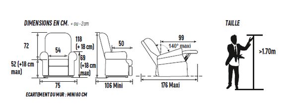 Fauteuil releveur WELLINGTON 1 + 1 Moteurs