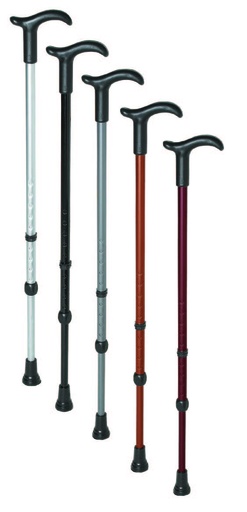 [RE13314] Canne Rebotec Simplex - coloris noir